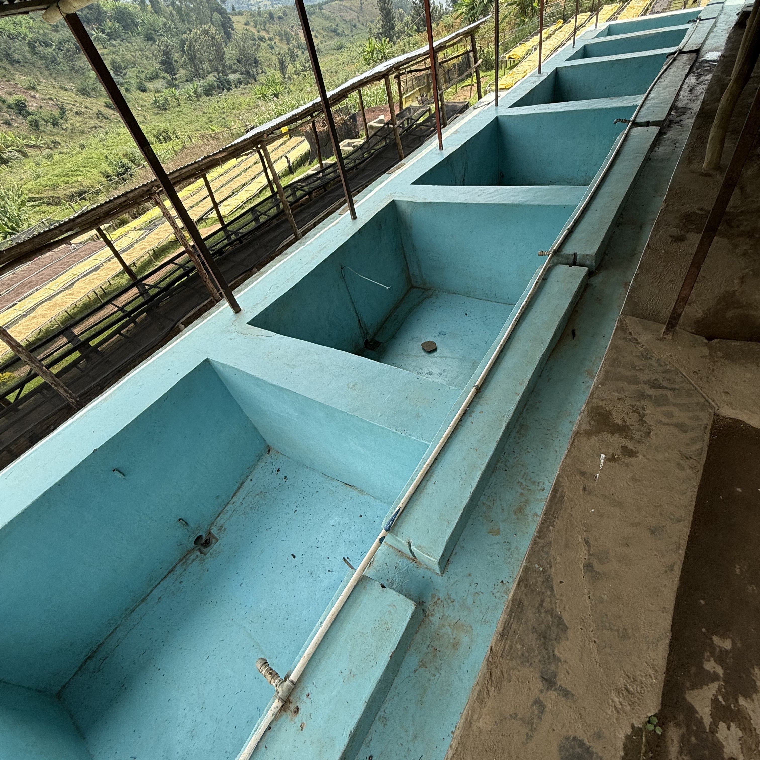Rwanda Gisheke A1 Washed(24/25年クロップ) | ORIGIN COUNTRIES for